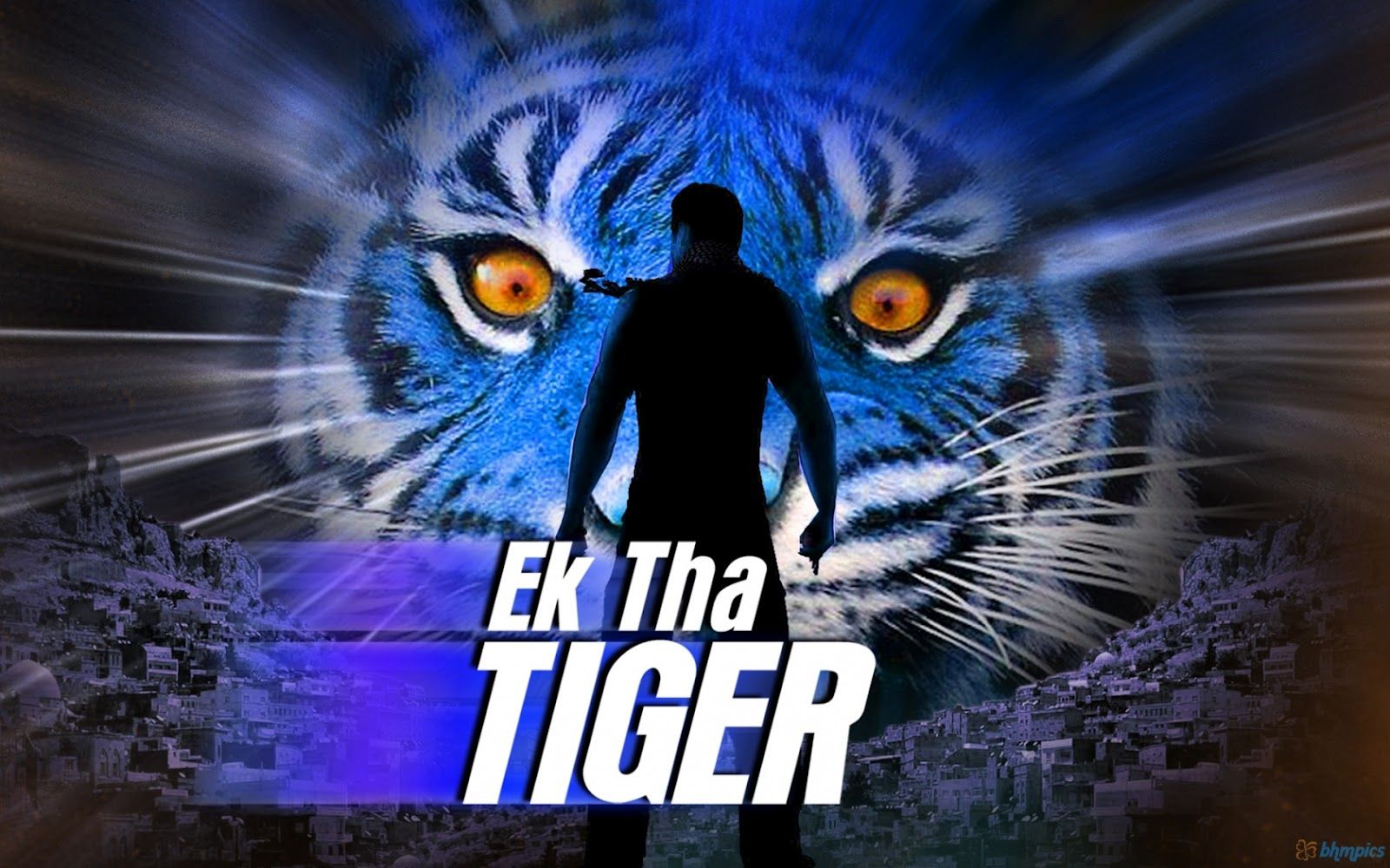 A2Z Wallpaper: Ek Tha Tiger Movie Wallpaper