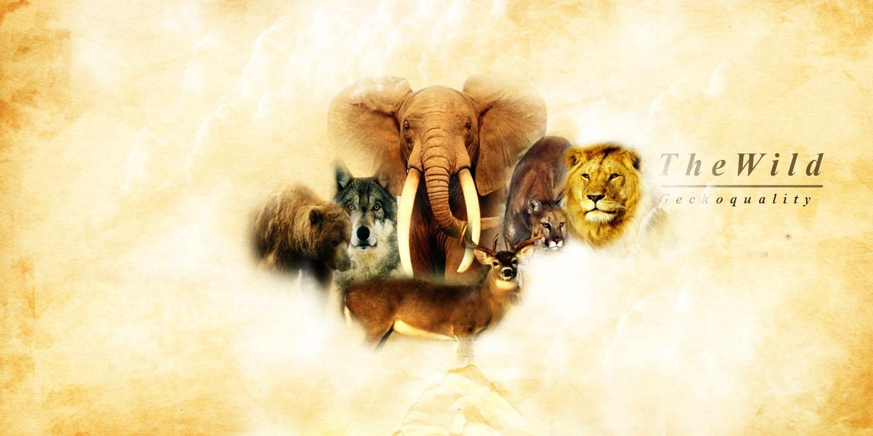 Download wallpaper with animals Collage with tags: Windows