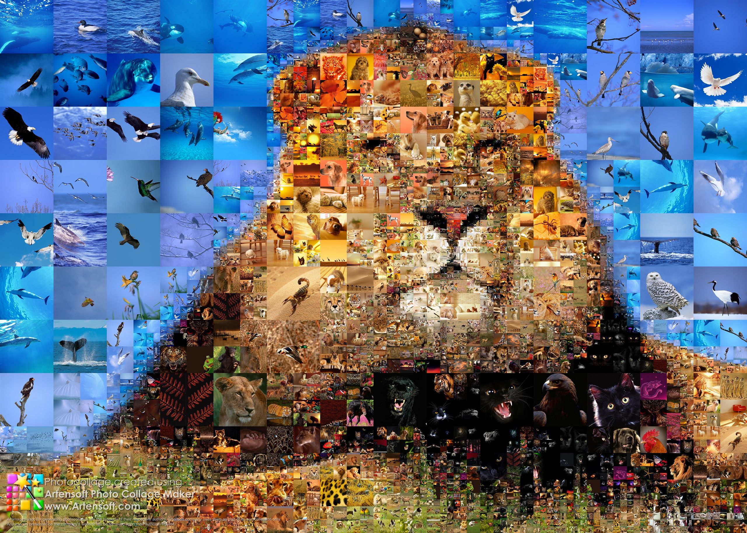 Collage wallpaper, Abstract, HQ Collage pictureK Wallpaper 2019