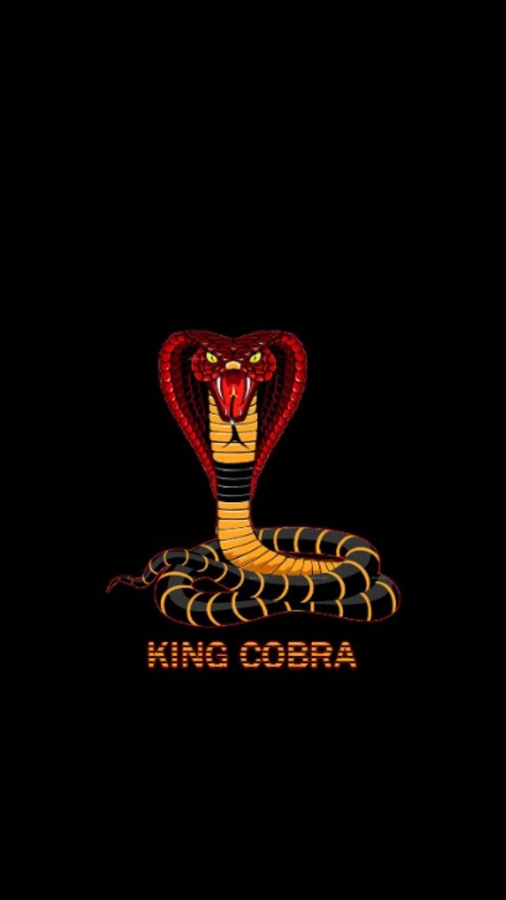 Download King Cobra Black And White Art Wallpaper  Wallpaperscom