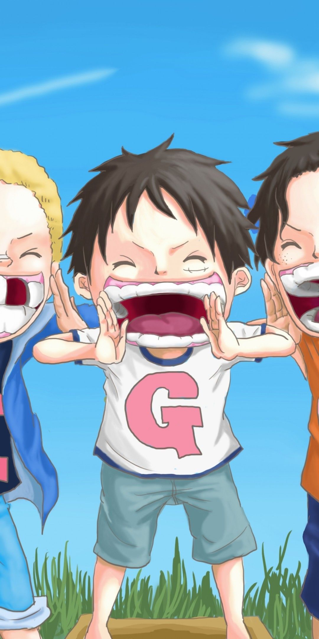 Download 1080x2160 One Piece, Monkey D. Luffy, Sabo, Portgas D. Ace Wallpaper for Huawei Mate 10