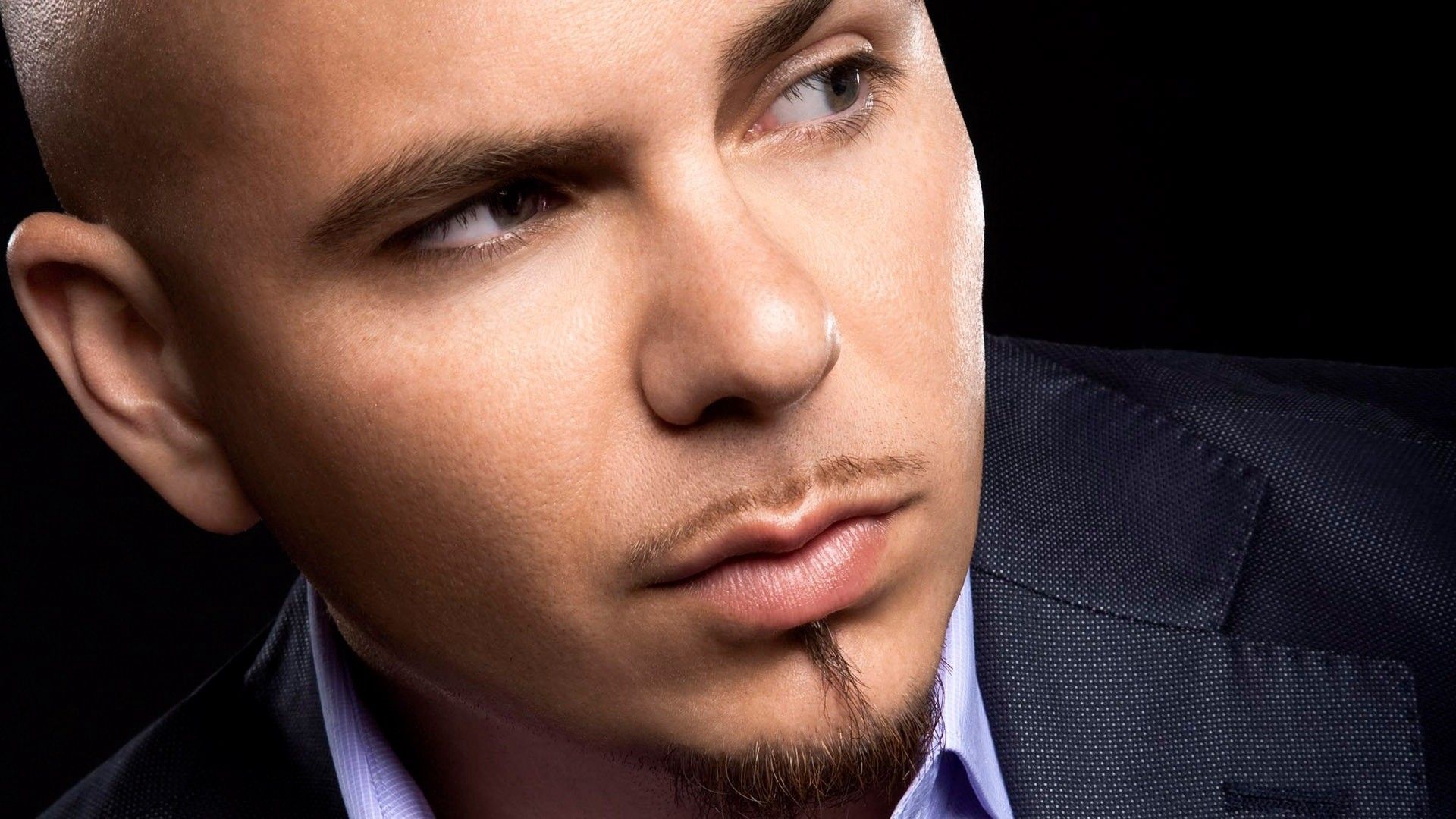 image Of Pitbull The Singer