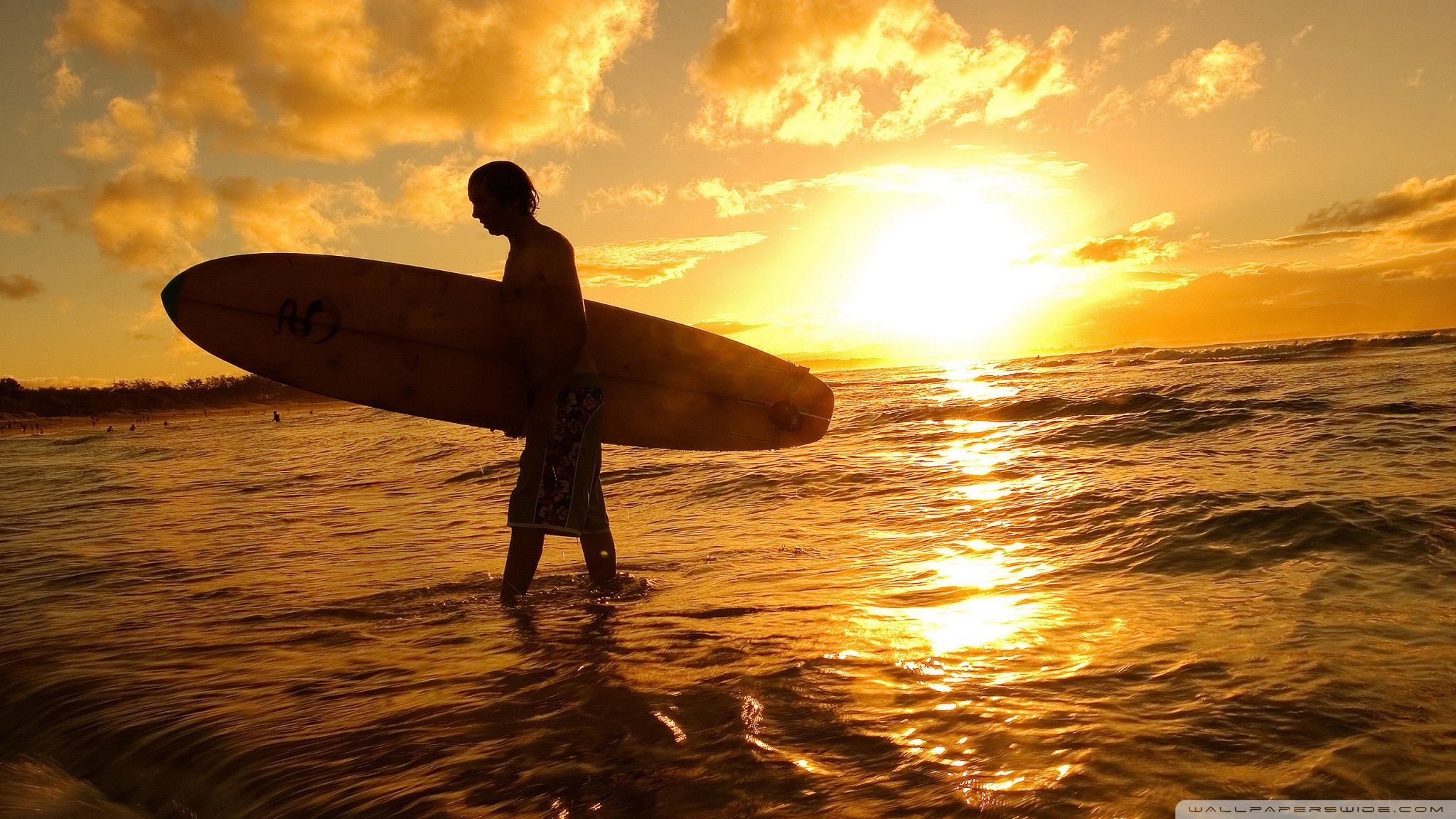 Surfer At Sunset Ultra HD Desktop Background Wallpaper for 4K UHD