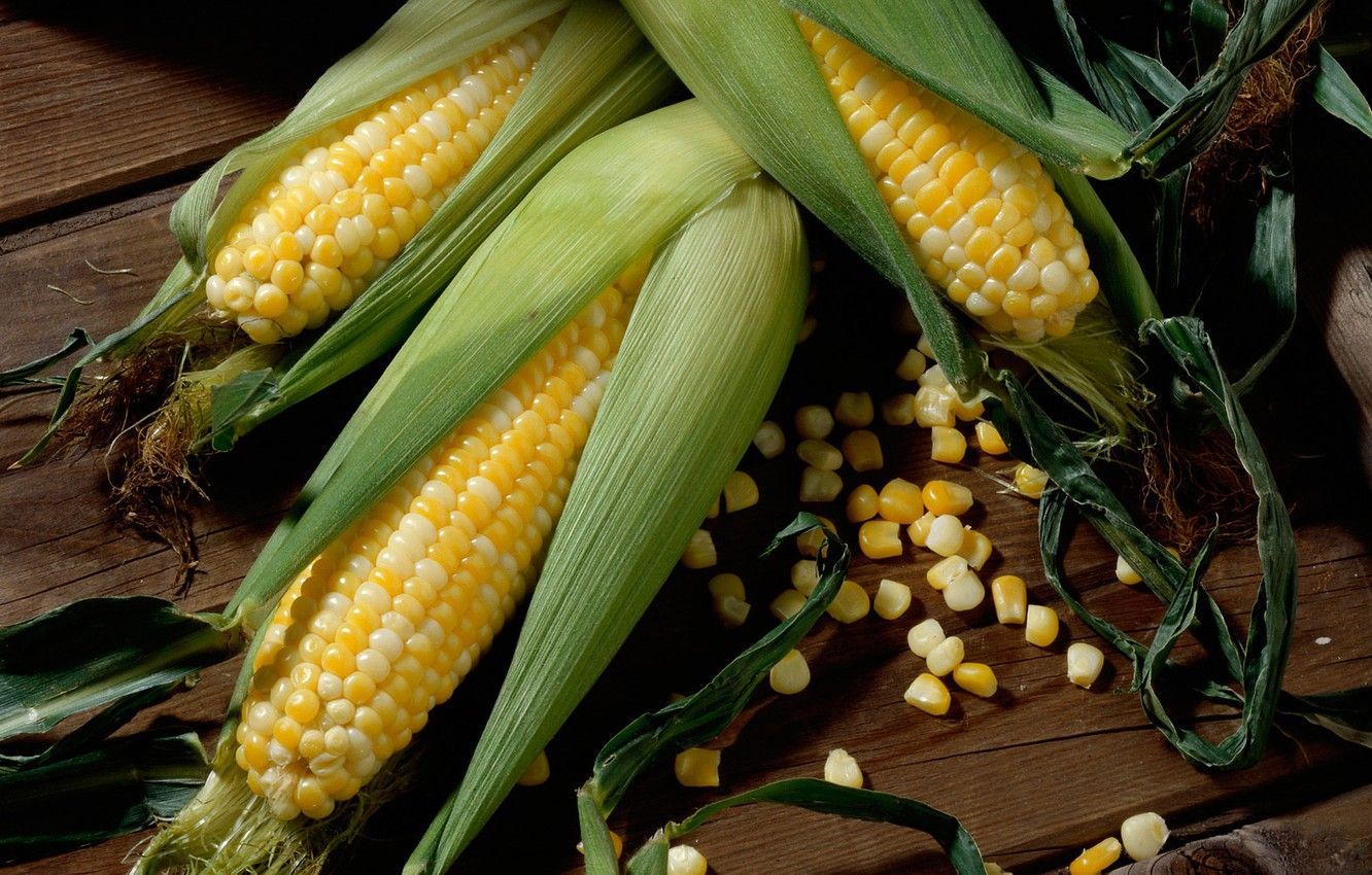Wallpaper grain, corn, the cob, maize image for desktop, section