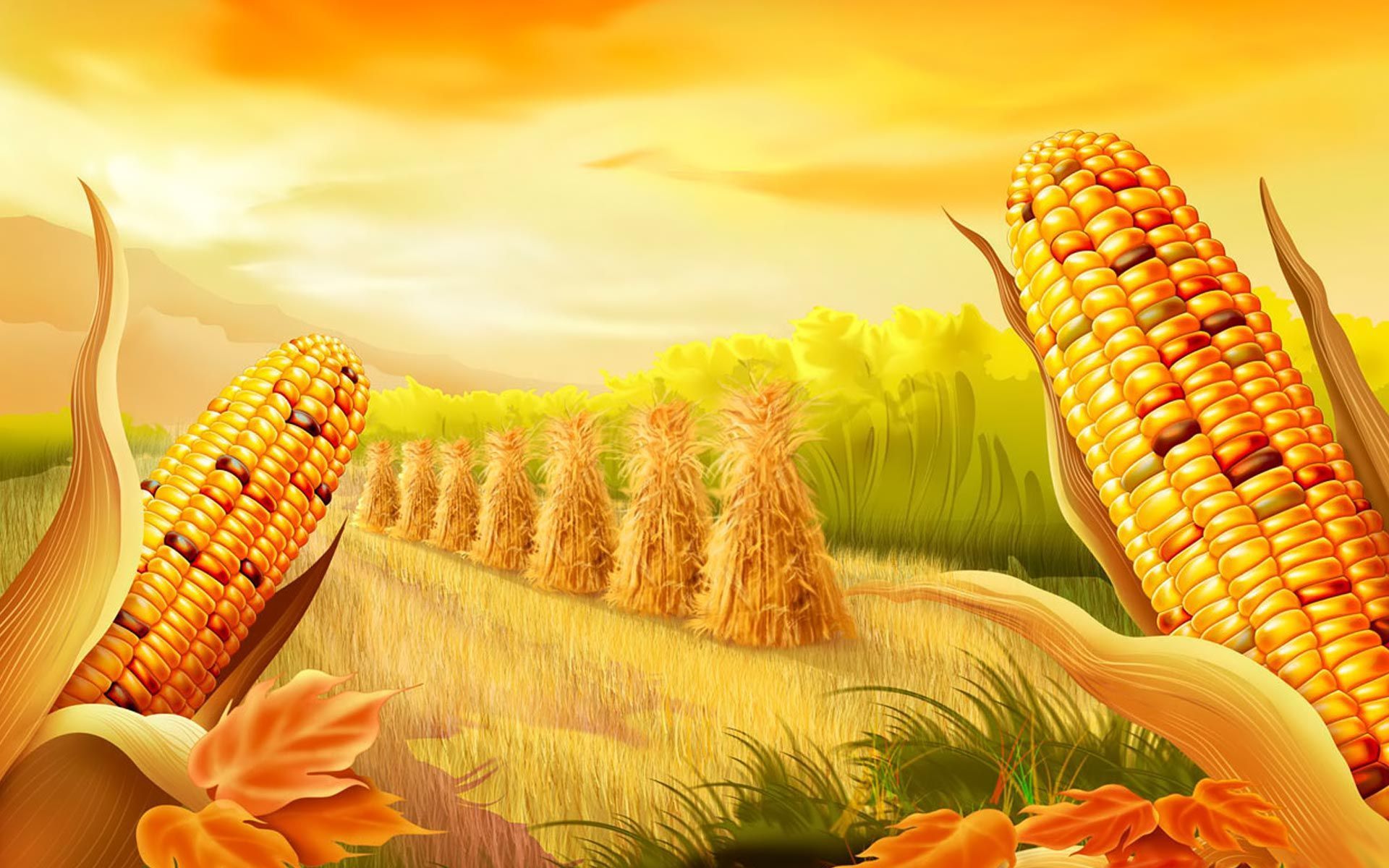 Corn Wallpaper Free Corn Background