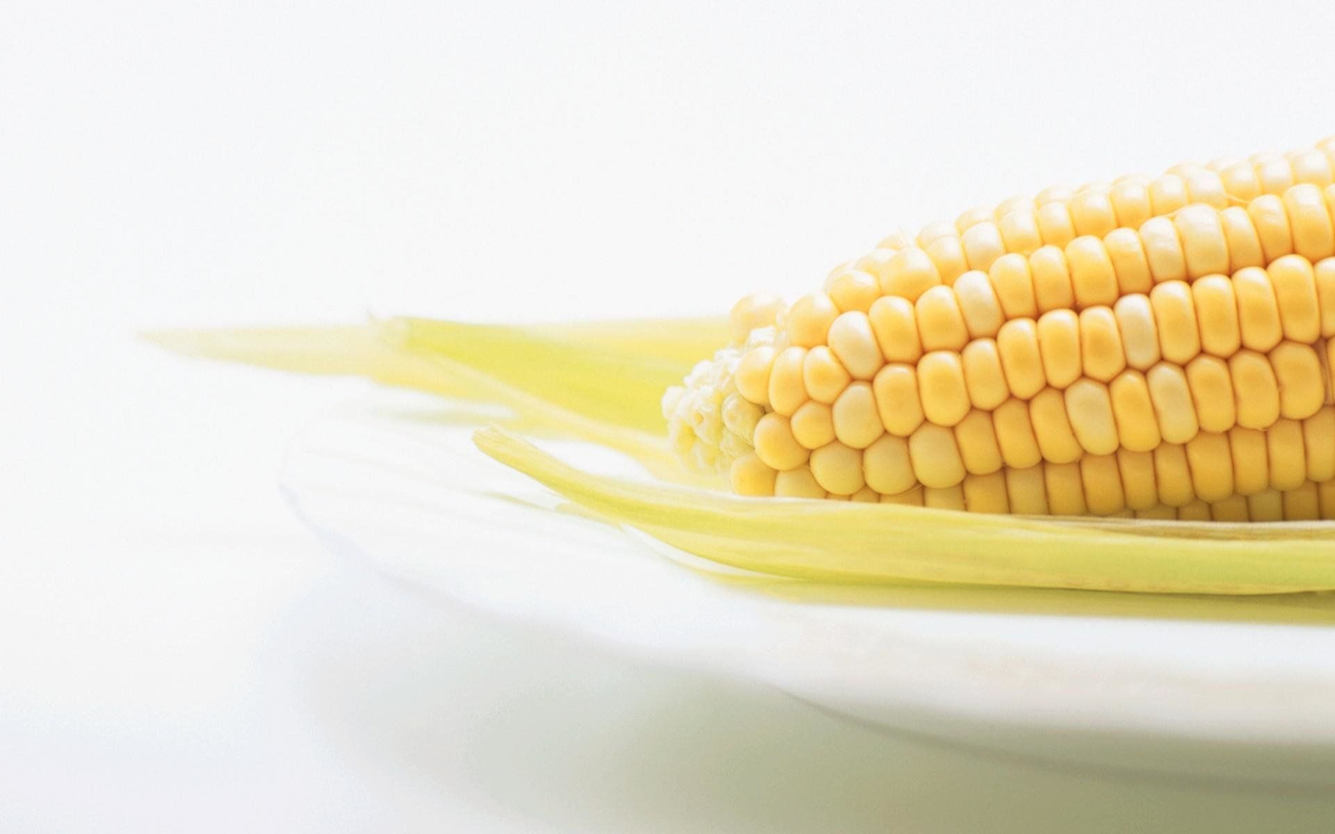 Corn HD Wallpaper and Background Image