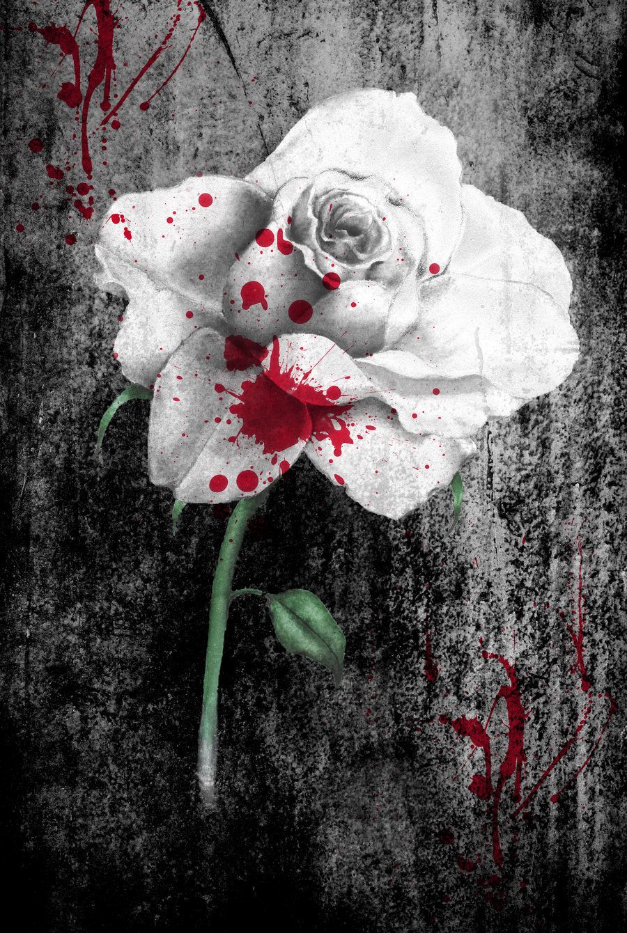 Free download Bloody White Rose Wallpaper Bloody rose