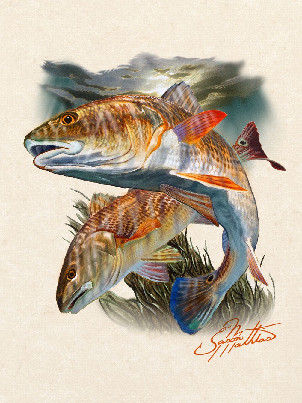 Red Fish Picture