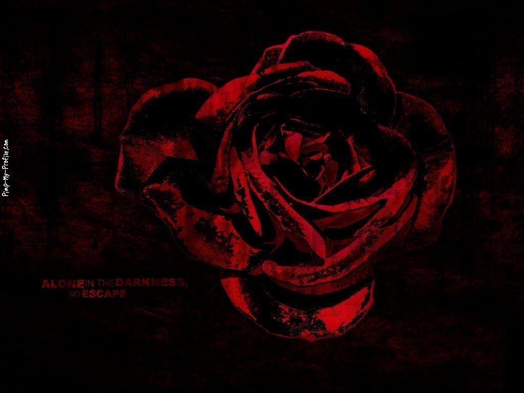 Bloody Rose Wallpaper