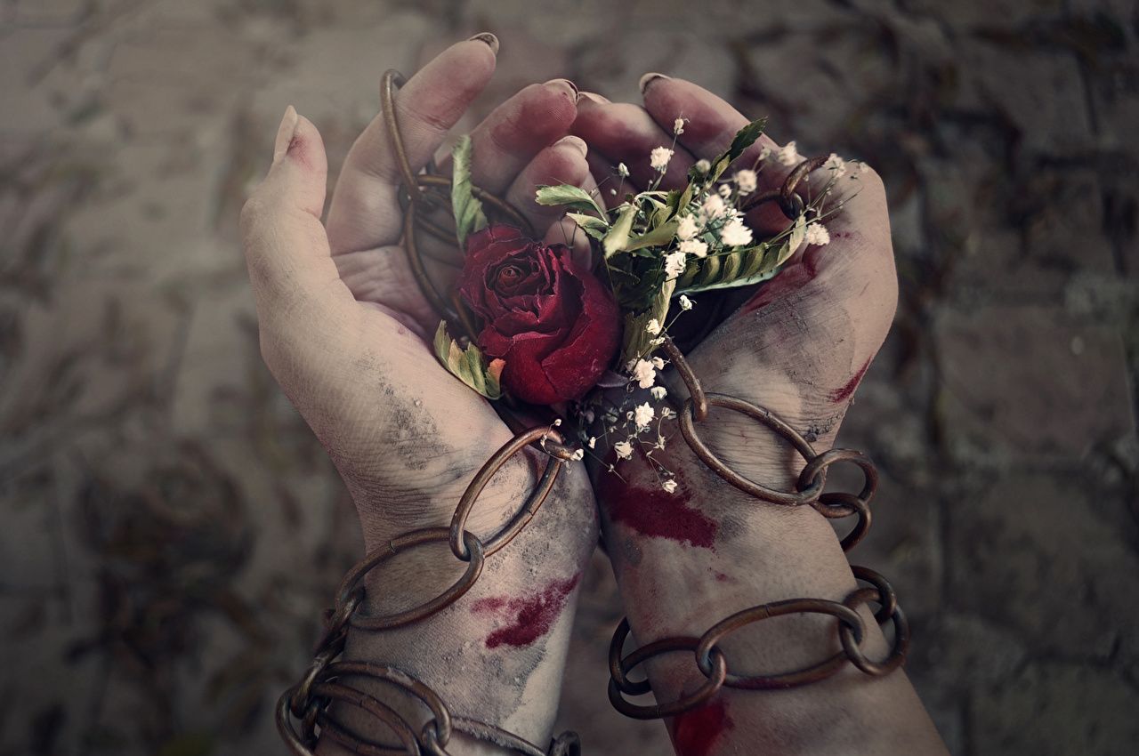 bleeding hand with rose