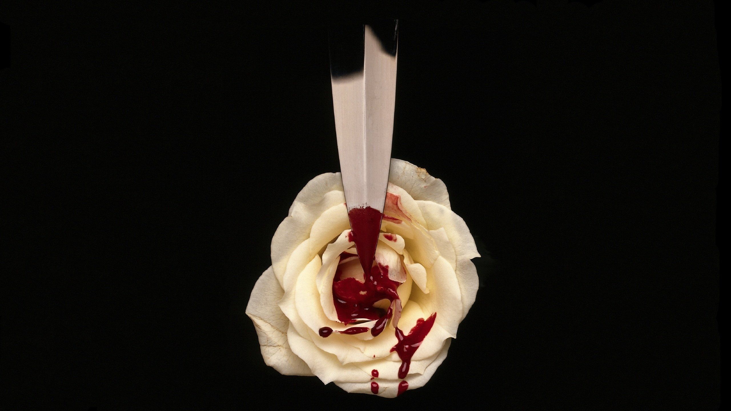 Кровавый цветы 91. Цветок и нож.