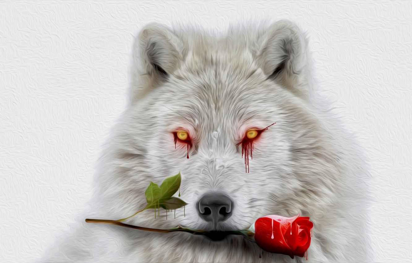 Wallpaper white, eyes, blood, rose, wolf image for desktop
