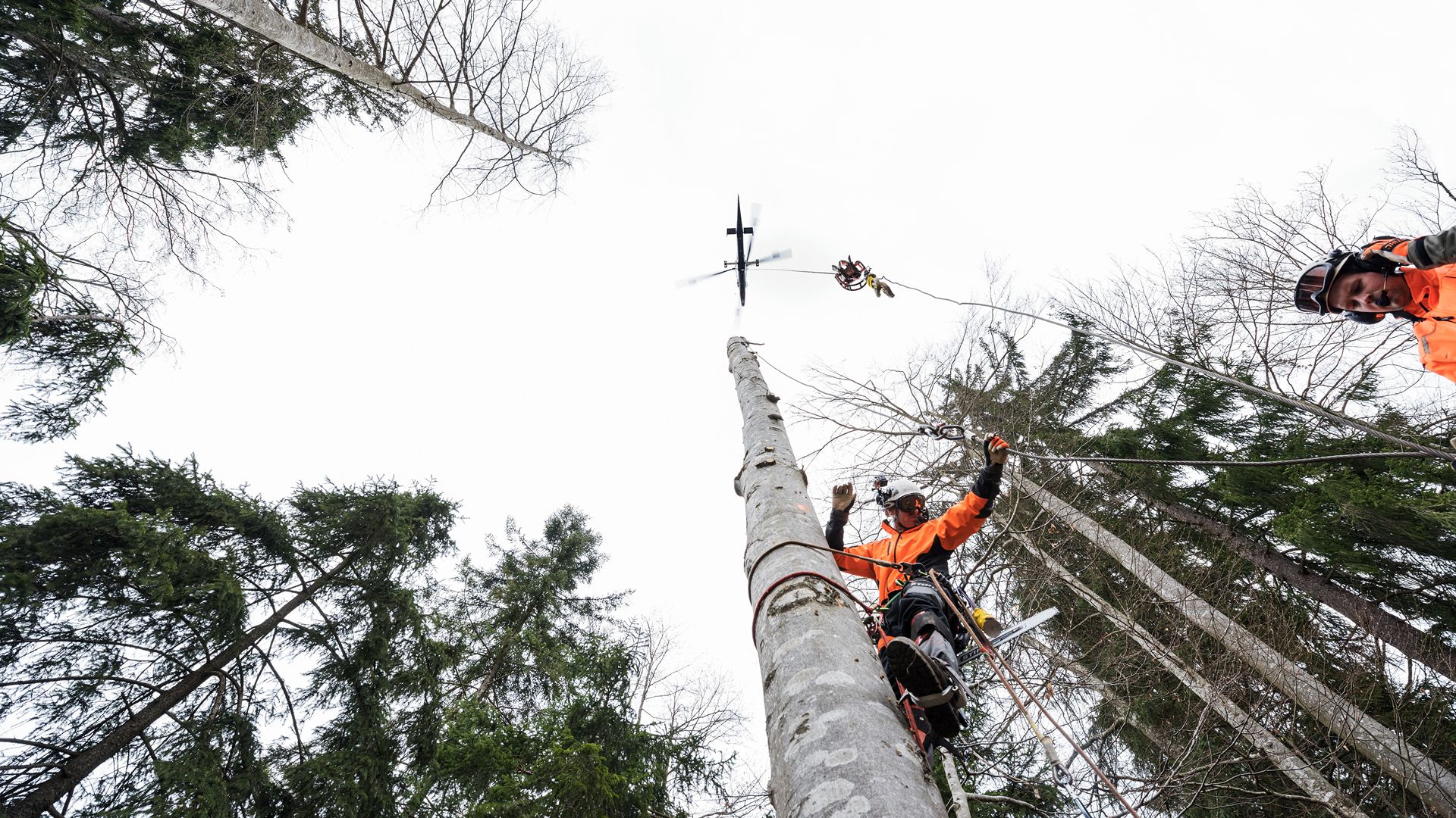 STIHL Wallpapers - Wallpaper Cave