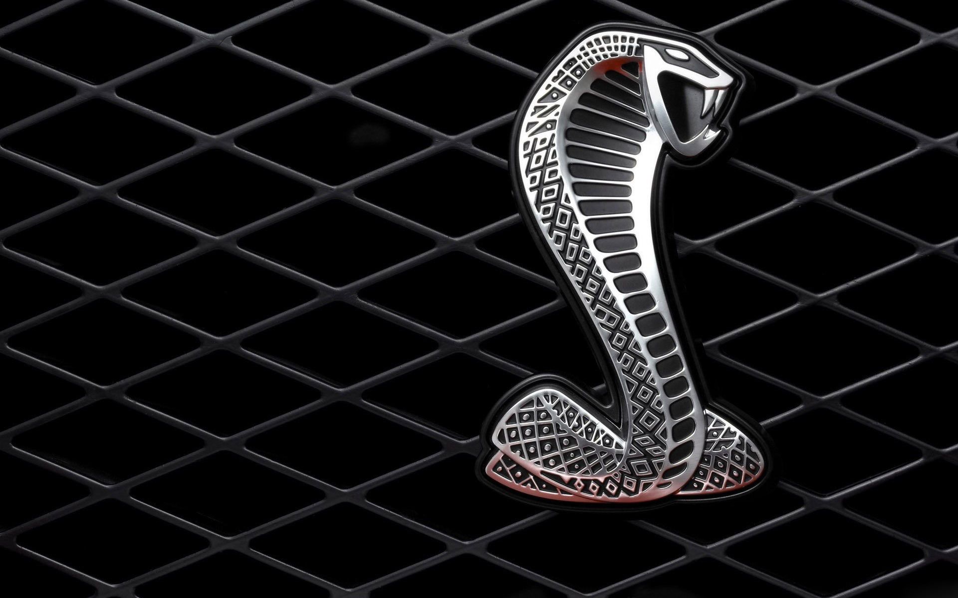 Cobra 4K wallpaper for your desktop or mobile screen free