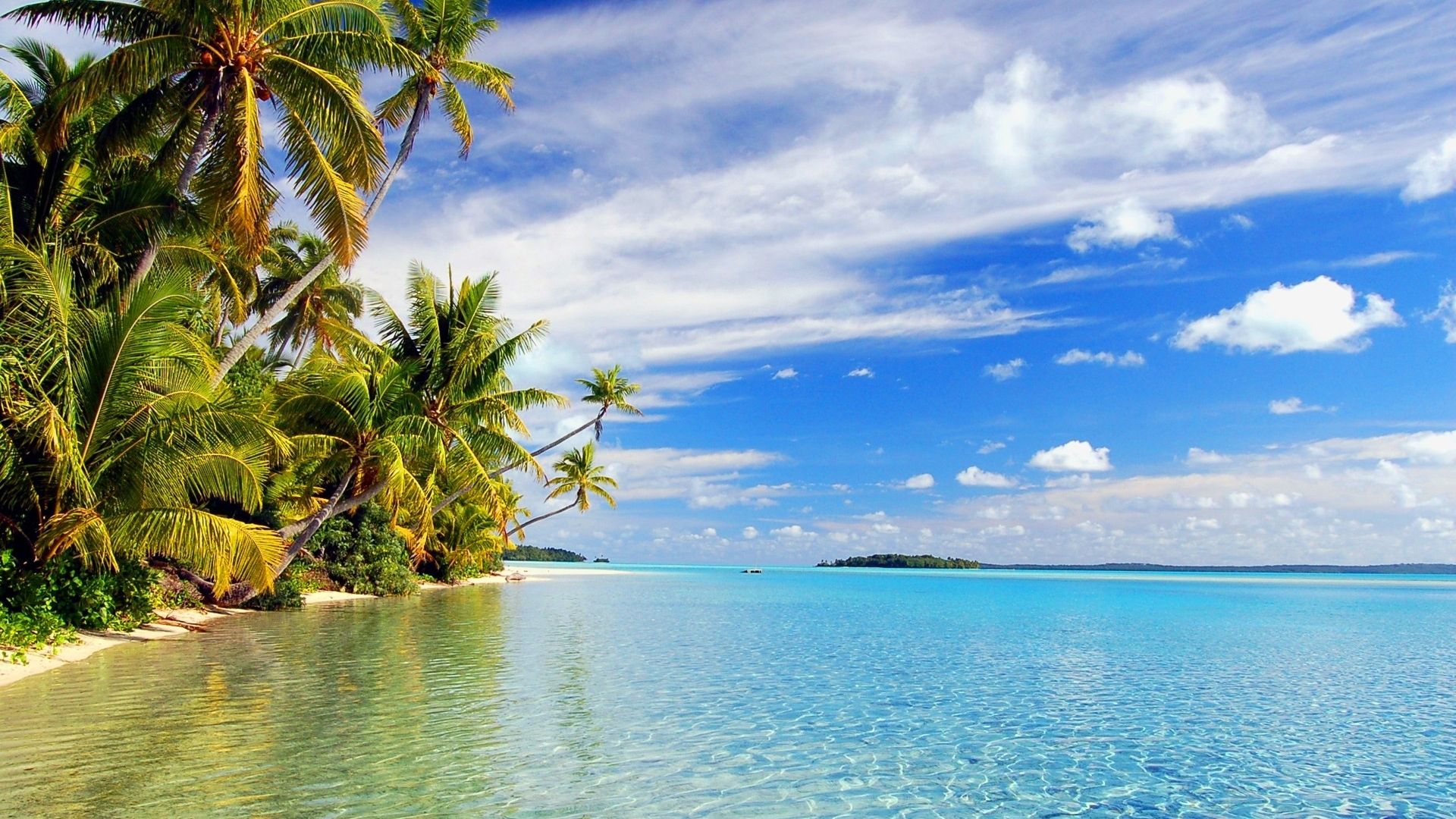 tropical island paradise background