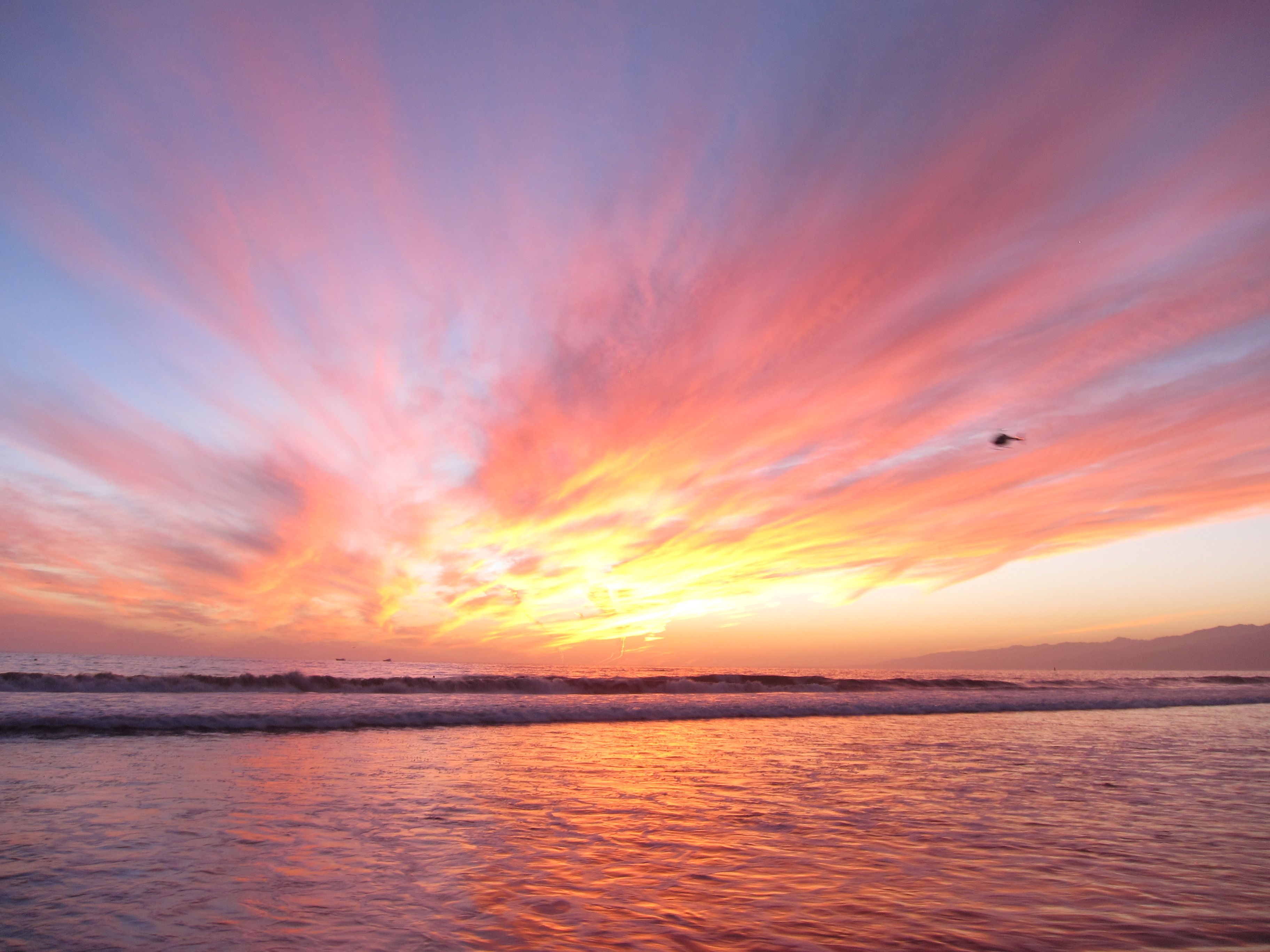 Sydney Beach Sunset Wallpapers - Wallpaper Cave