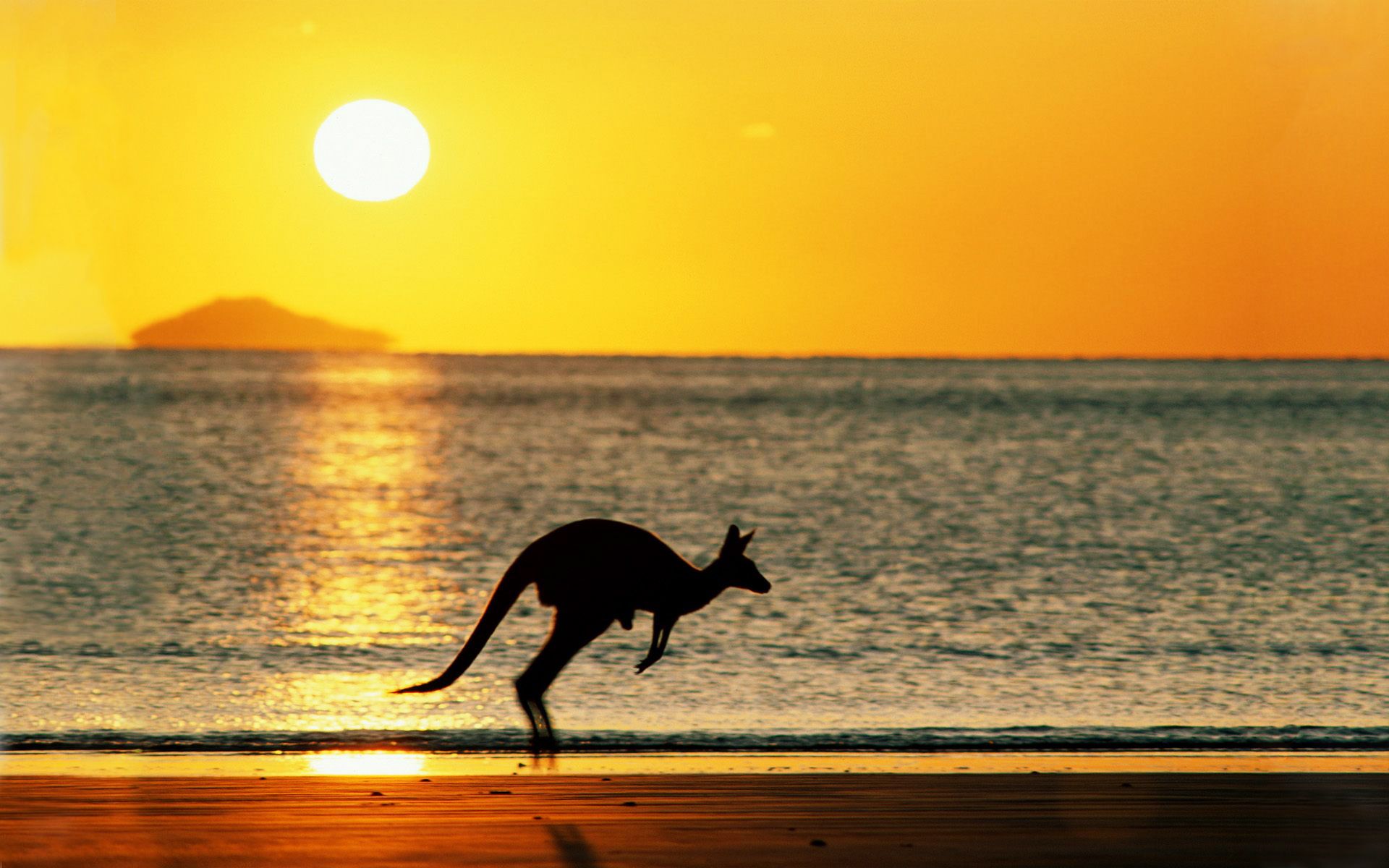 Sunset australia beach wallpaperx1200