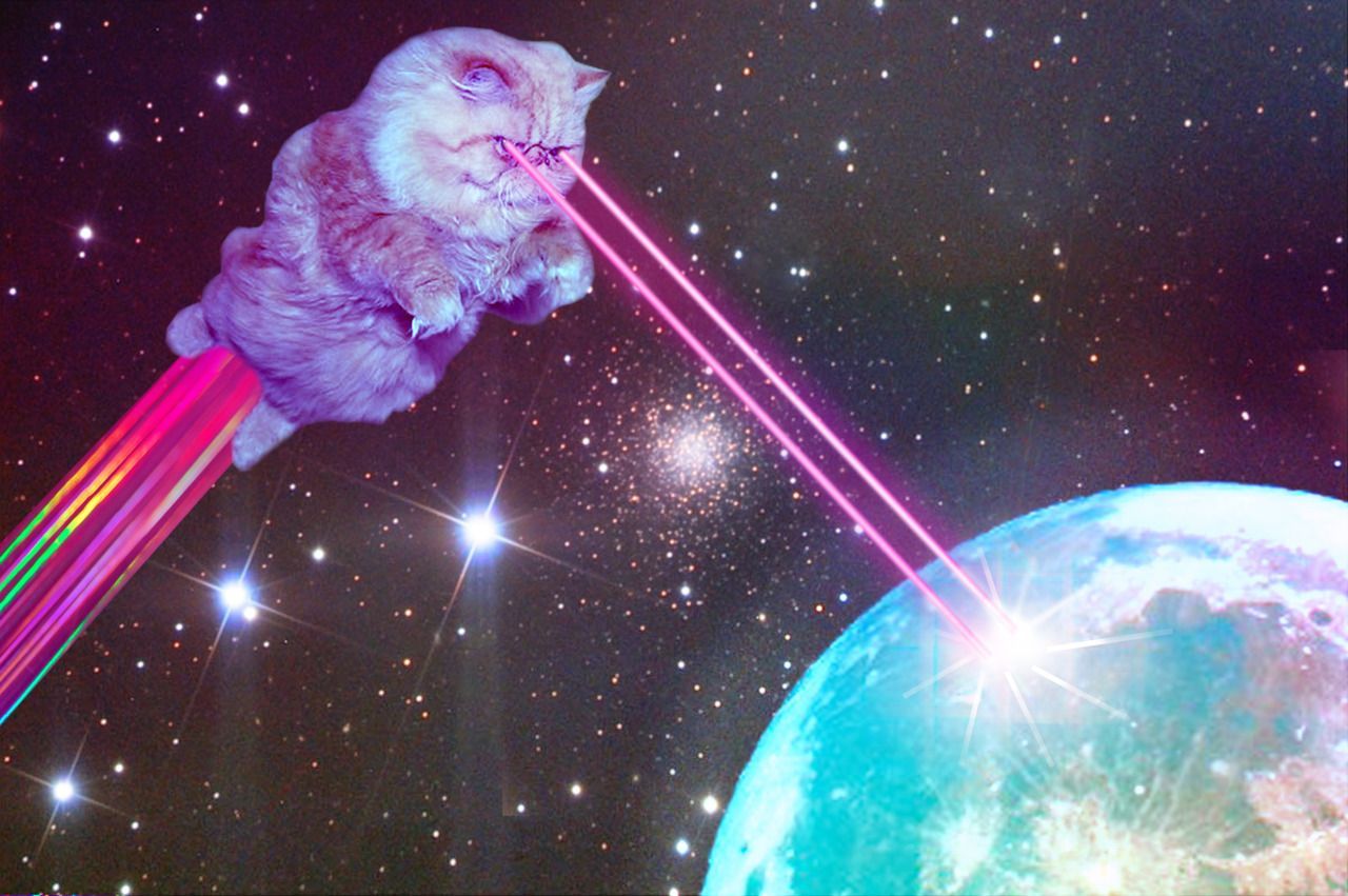 cats in space with laser eyes.