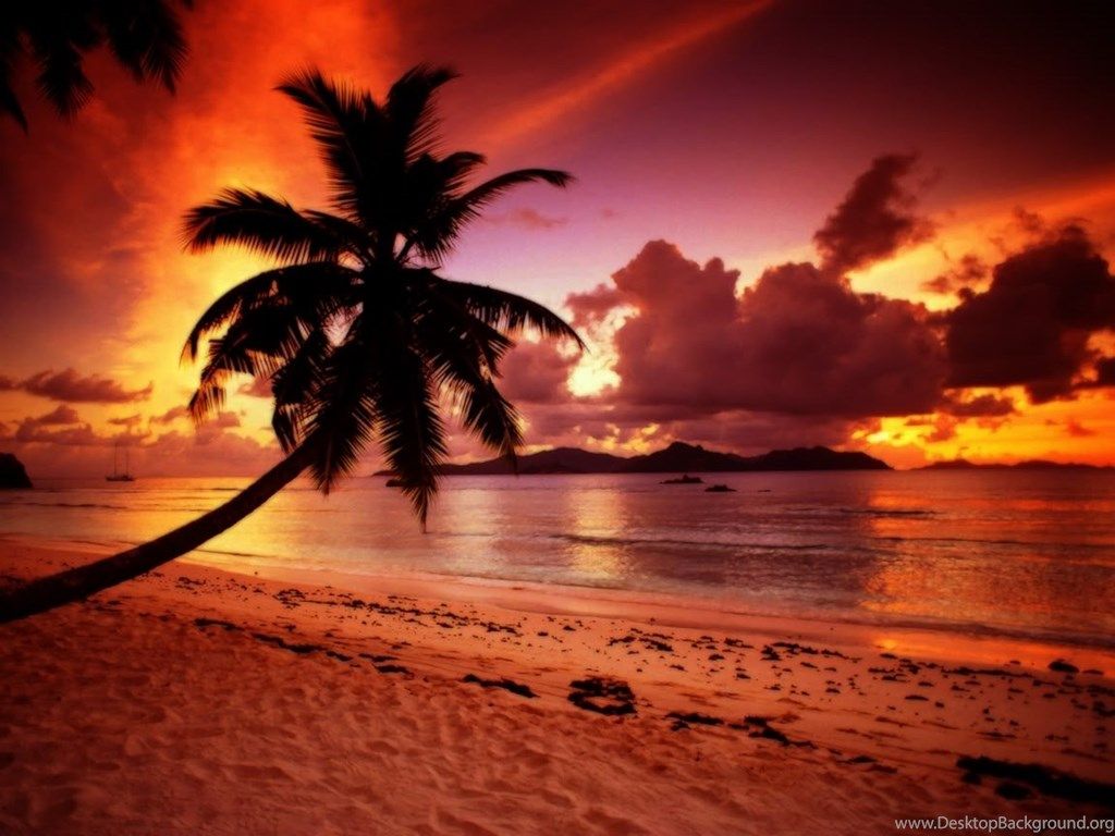 Tropical Beach Paradise Sunset Wallpaper. Desktop Background