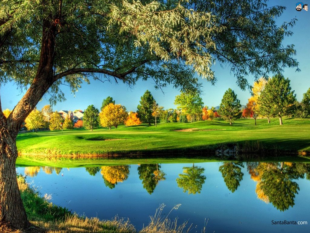 Golf Course Wallpaper