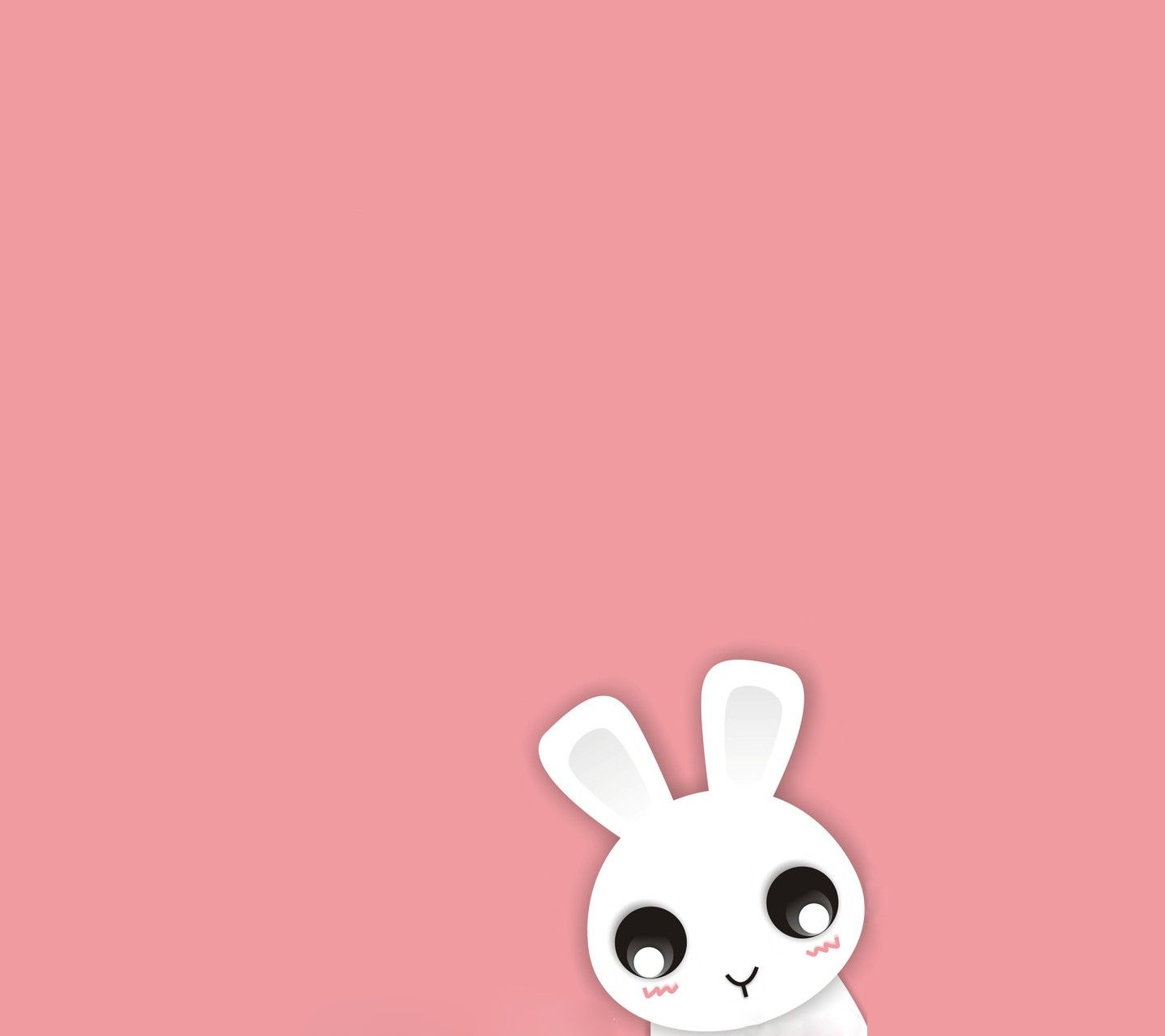 Cute bunny wallpaper