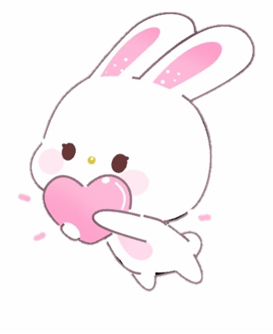 Pink Bunny Kawaii Rabbit Wallpapers Wallpaper Cave