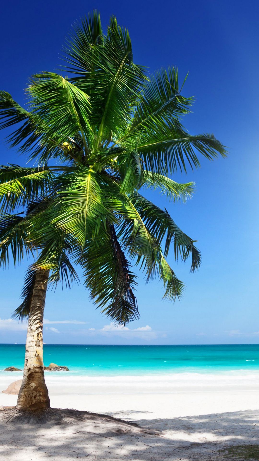 Sunny beach, iPhone, Desktop HD Background