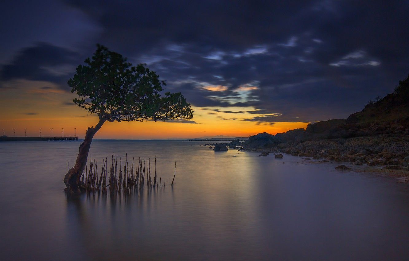 Wallpaper clouds, tree, Indonesia, glow, the island of Lombok