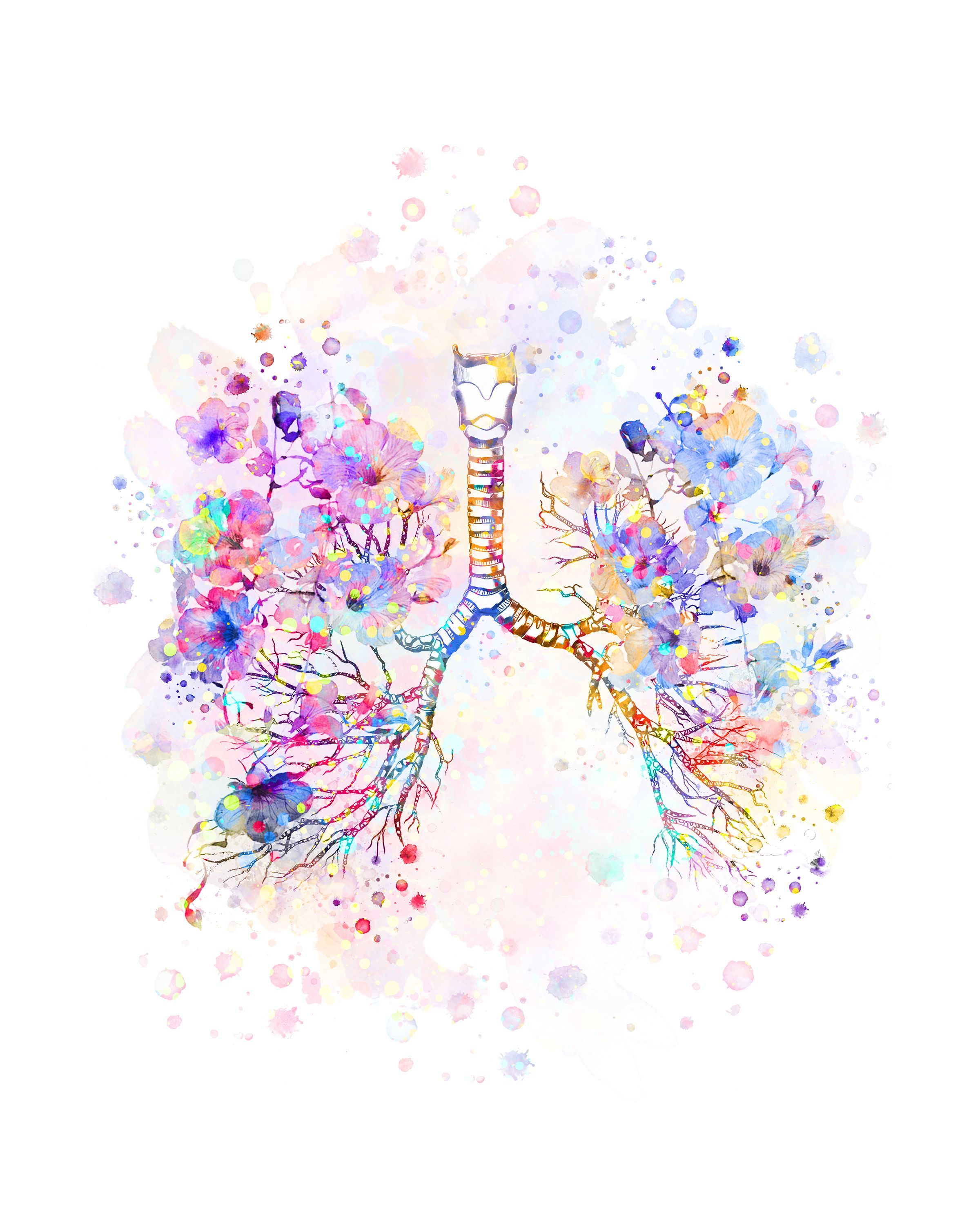 Bronchial Tree Watercolor Lungs Anatomy Bronchi Trachea