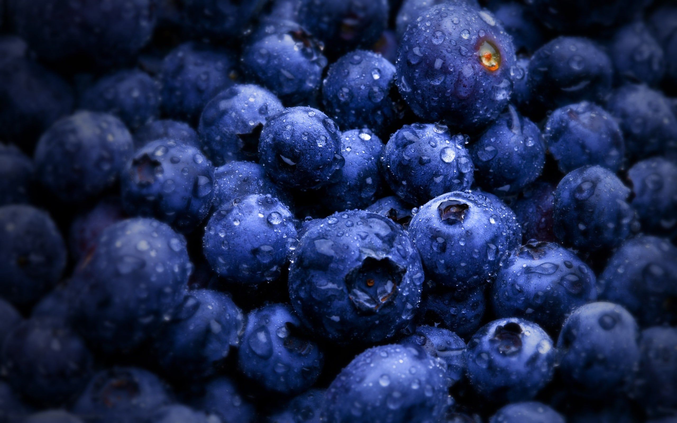 Blueberry Wallpaper Free Blueberry Background