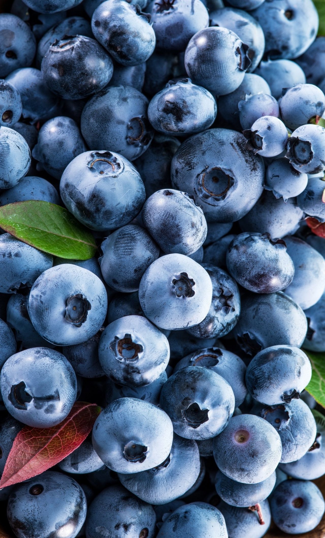 Berries, fruits, blueberries wallpaper. Fruit wallpaper