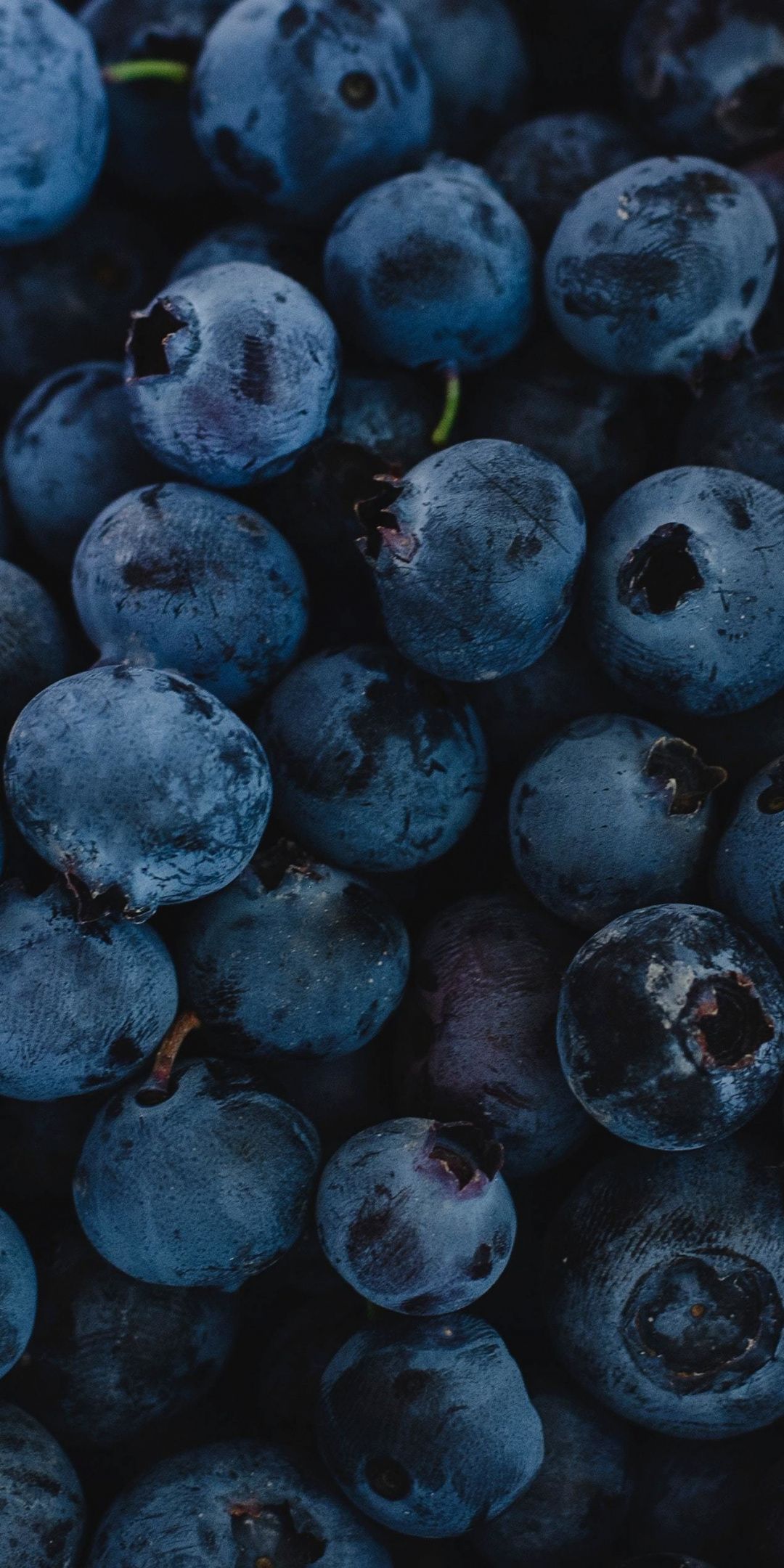 Fresh, Blueberries, Dark Blue, Fruit Wallpaper