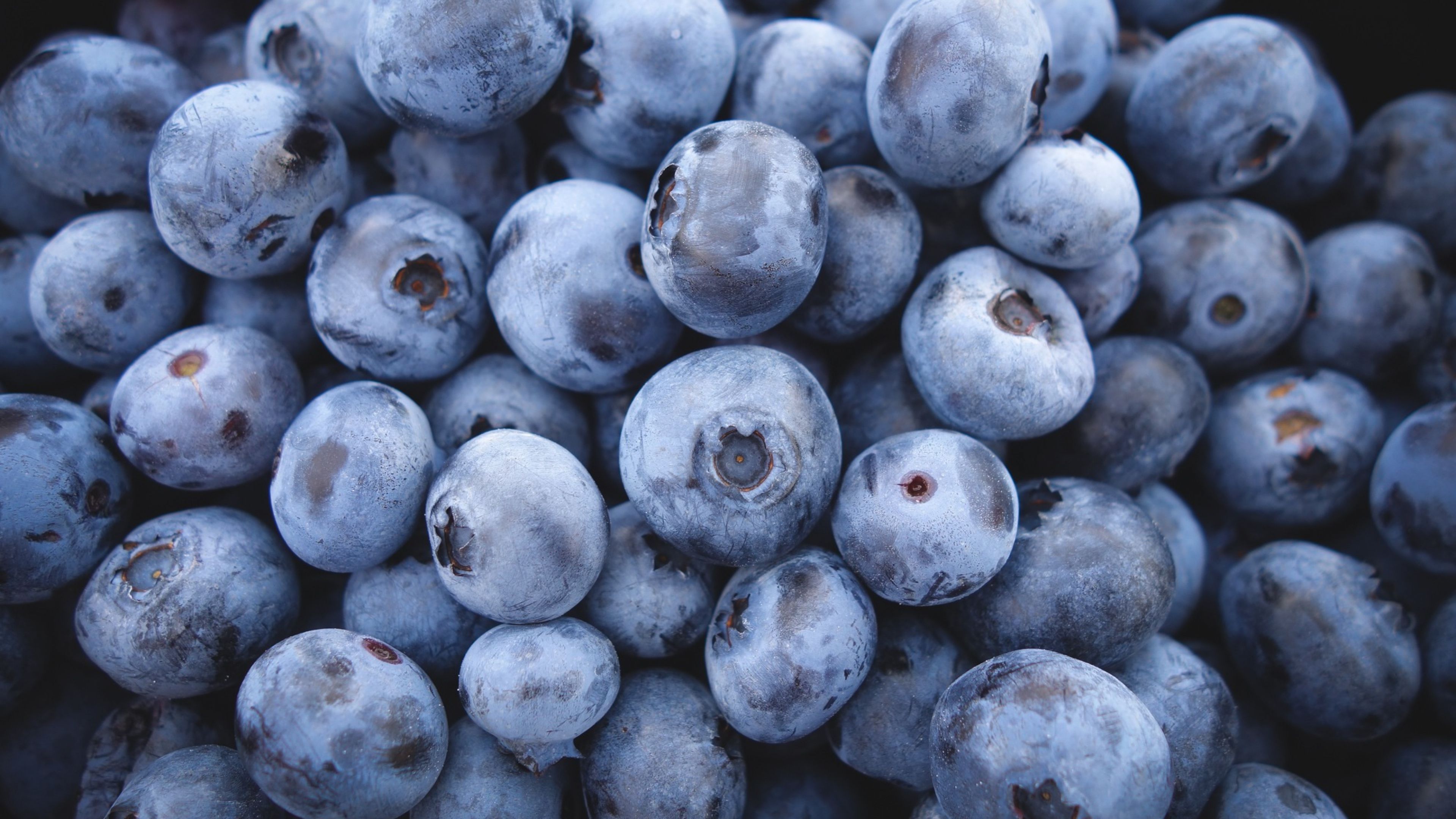 Blueberry, HD Others, 4k Wallpaper, Image, Background, Photo
