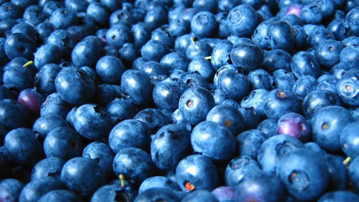 Fruits blueberries wallpaperx1080