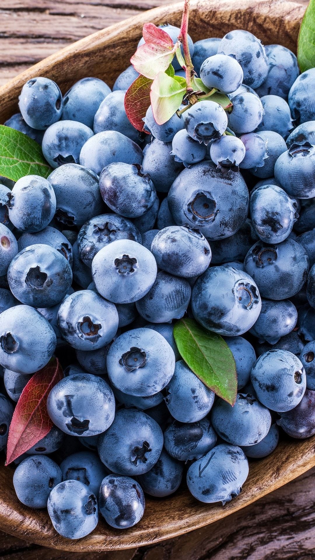 Blueberries Wallpaper Free HD Wallpaper