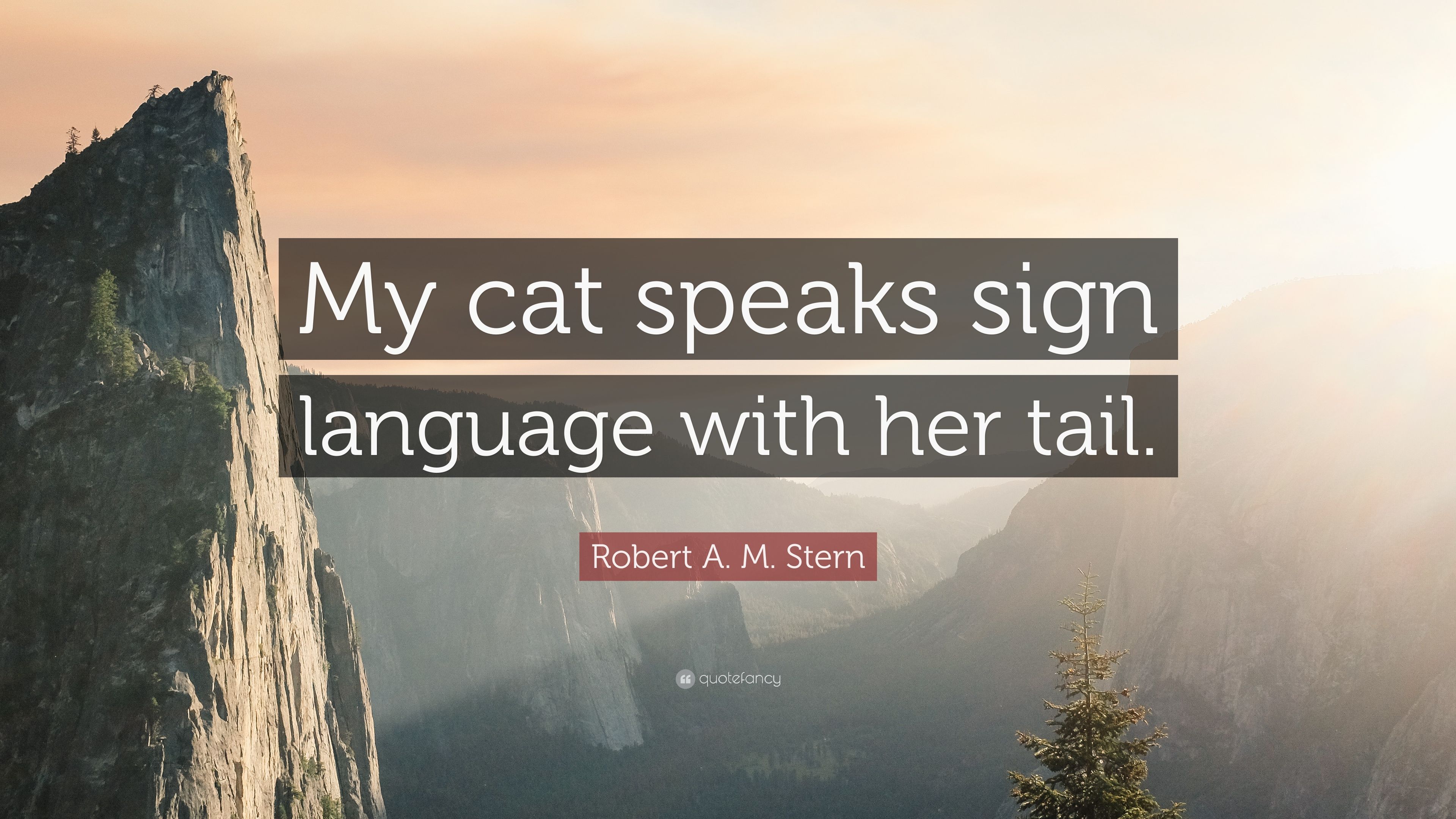 Robert A. M. Stern Quote: “My cat speaks sign language with her