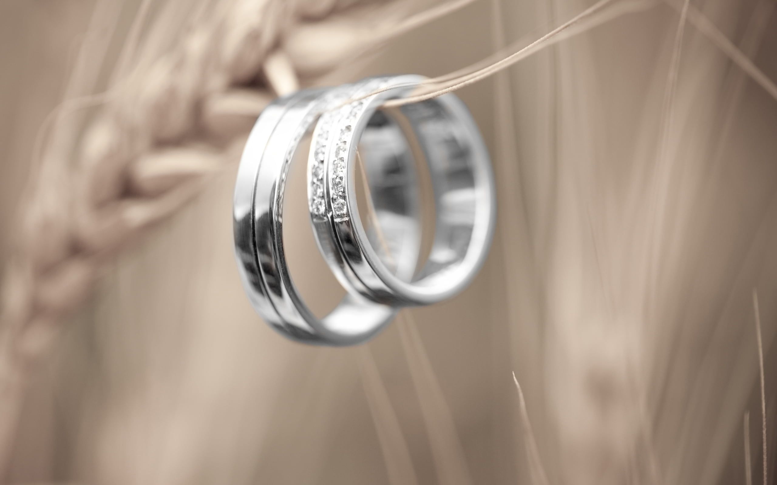 Stones Rings Reflection Couple. Wedding ring metals, Ring metal