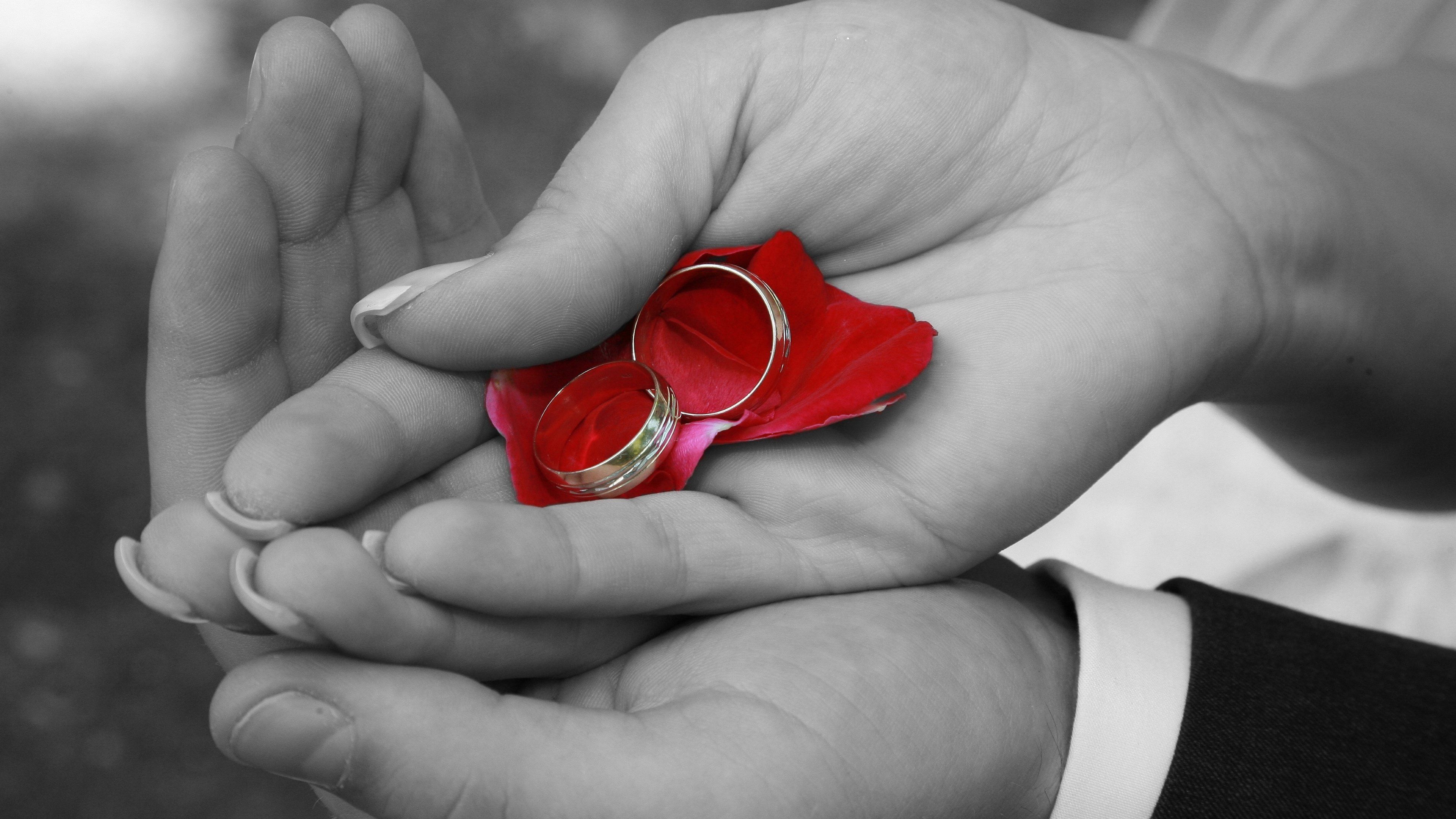 Gold Wedding Rings Wallpaper - HD Background