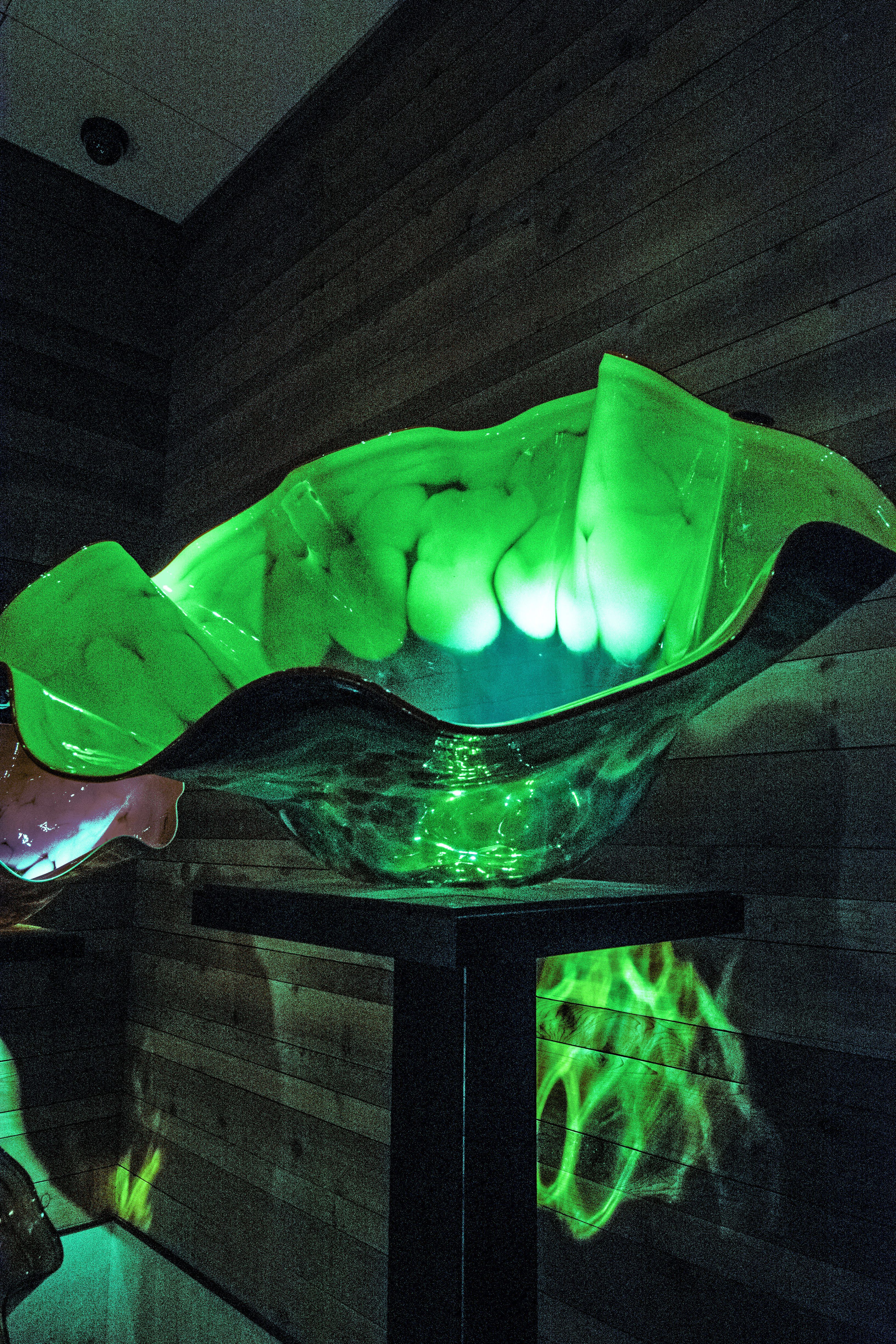 Free of Glass Art Work of Dale Chihuly