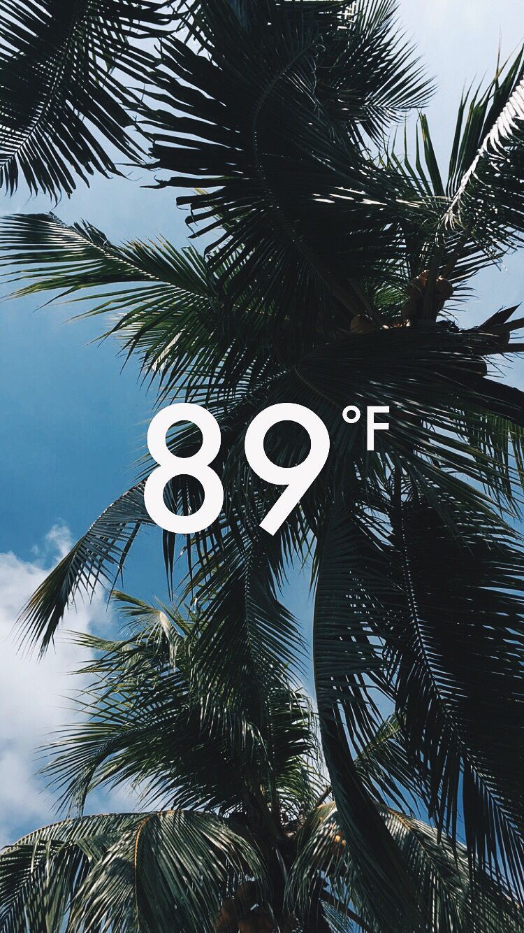 snapchat #temperature #f #sjy #blue #cloud #palmtrees #palm #tree