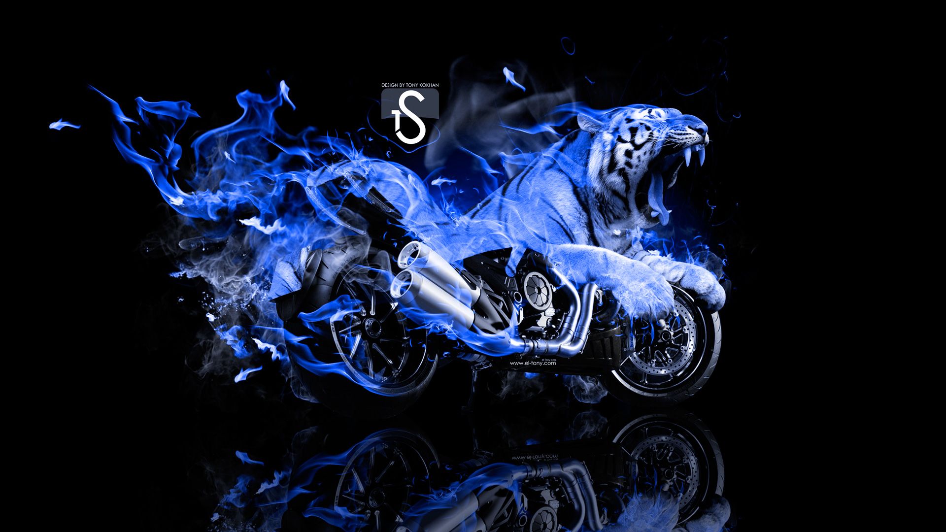 Mobile Blue Tiger Picture% Quality HD