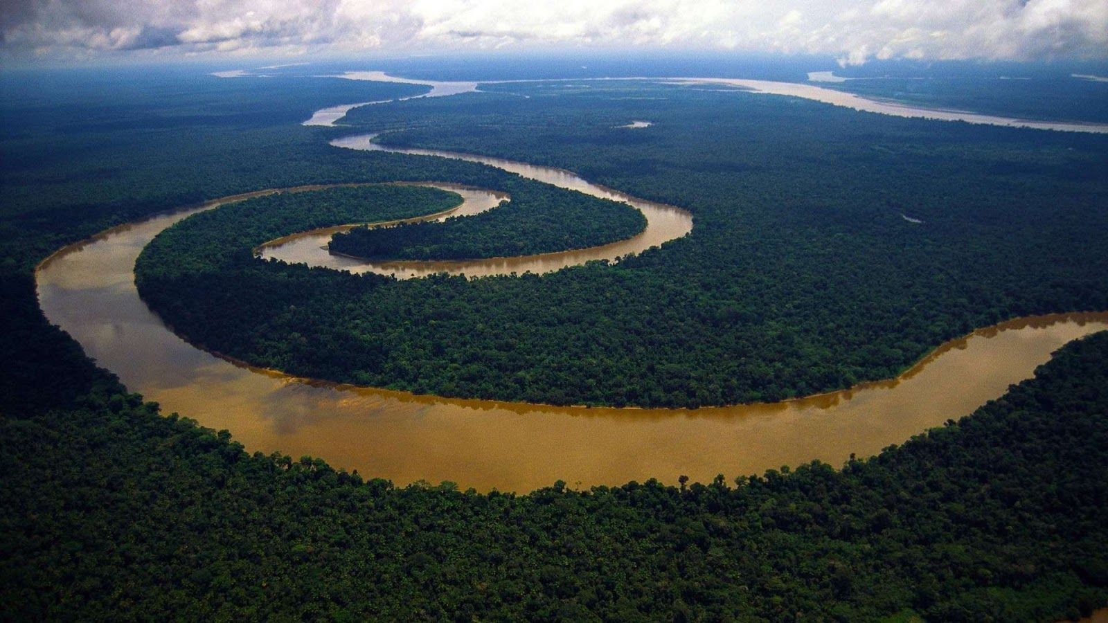 Amazon River HD Wallpaper
