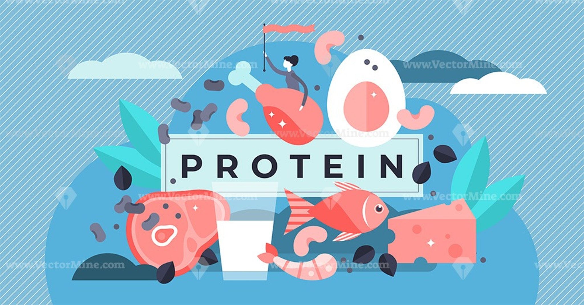 Protein concept vector illustration. Diet and nutrition, Amino