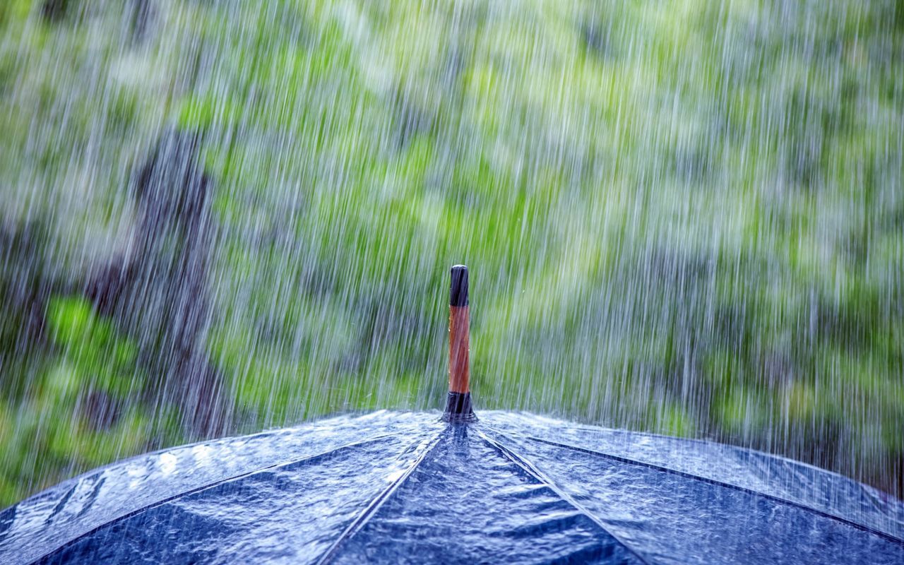 Crazy Summer rain Wallpaper, HD Wallpaper Downloads. Дождь, Грозы, Погода