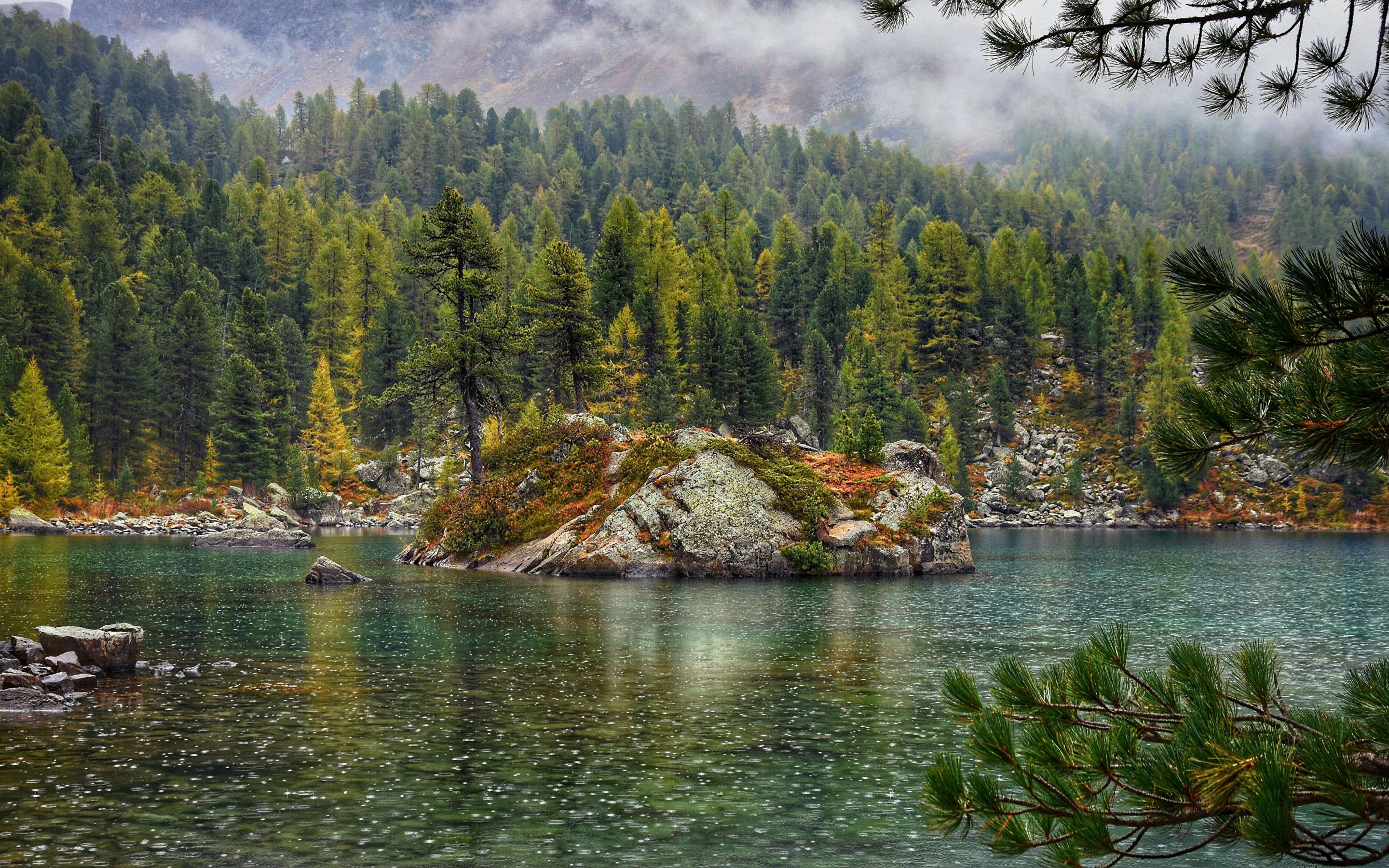 Download wallpaper mountain lake, rain, forest, mountain