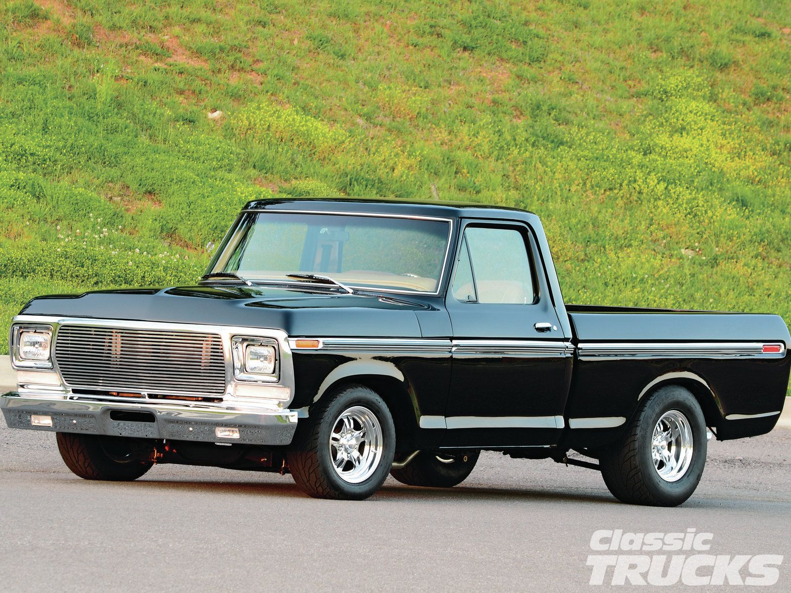 FORD F100 Image