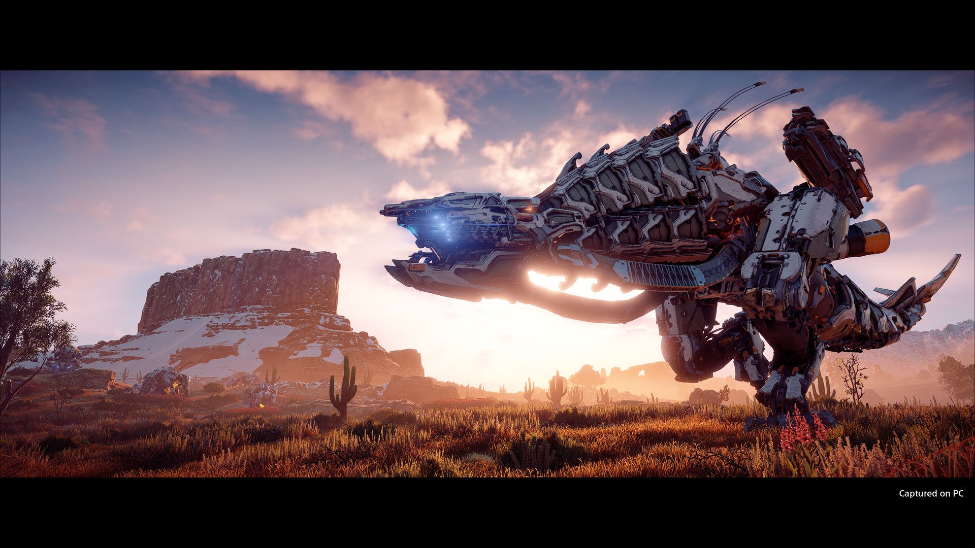 Pre Purchase Horizon Zero Dawn™ Complete Edition On Steam