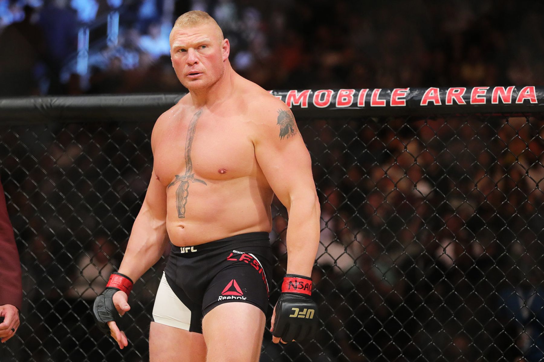 Brock Lesnar Fined, Suspended by Nevada Athletic Commission