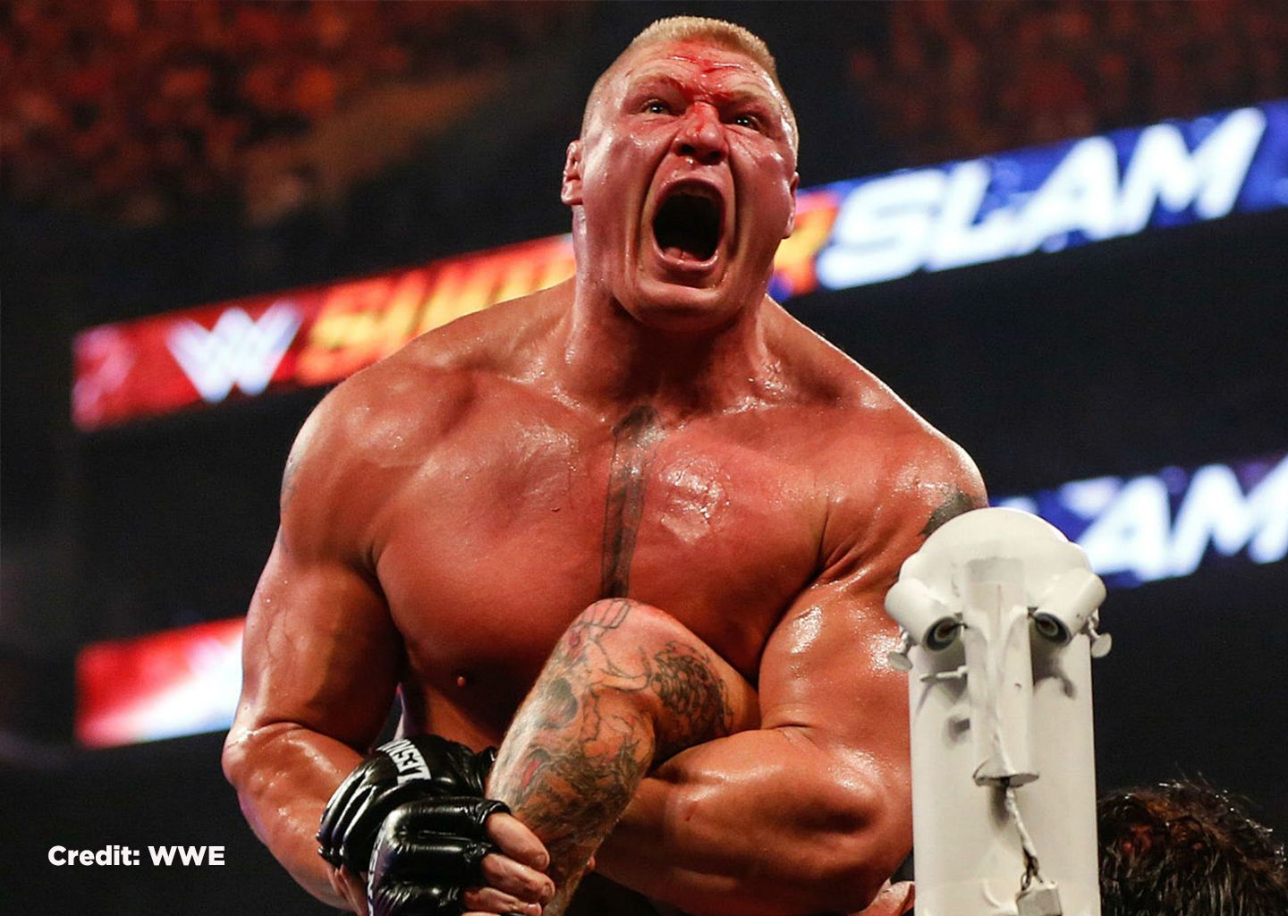 The Career Highlights of Brock Lesnar