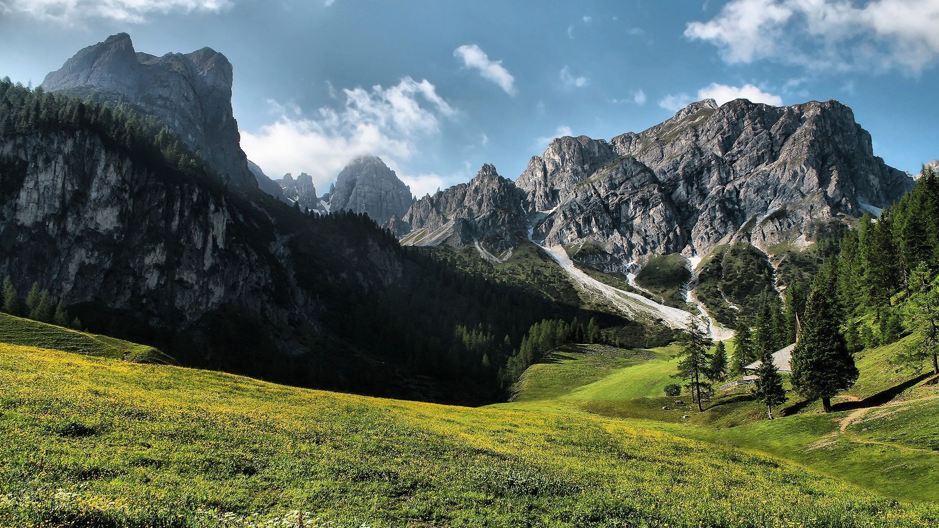 Download Wallpaper 1920x1080 glade, mountains, summer, green